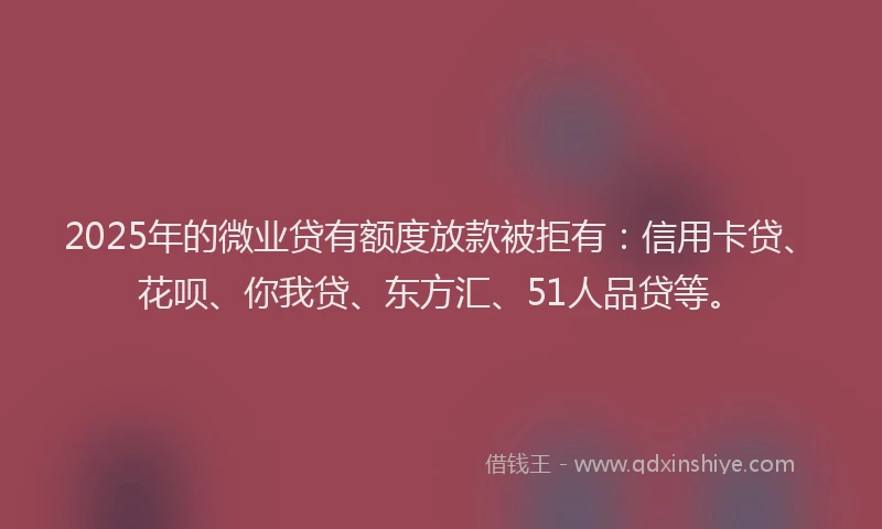 2025年的微业贷有额度放款被拒有：信用卡贷、花呗、你我贷、东方汇、51人品贷等。