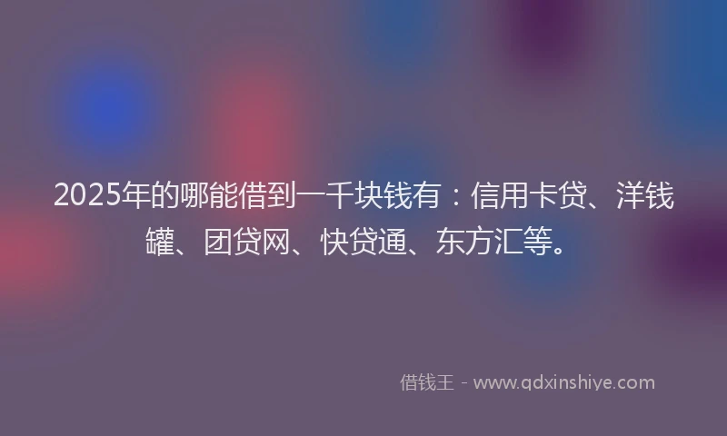 2025年的哪能借到一千块钱有：信用卡贷、洋钱罐、团贷网、快贷通、东方汇等。