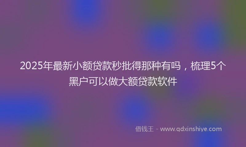 2025年最新小额贷款秒批得那种有吗，梳理5个黑户可以做大额贷款软件