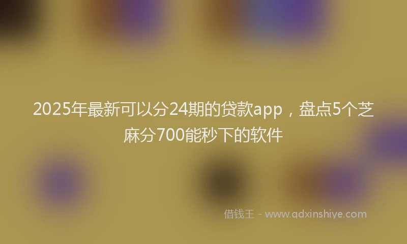 2025年最新可以分24期的贷款app，盘点5个芝麻分700能秒下的软件