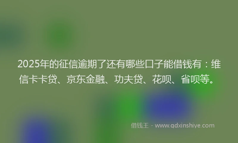 2025年的征信逾期了还有哪些口子能借钱有：维信卡卡贷、京东金融、功夫贷、花呗、省呗等。