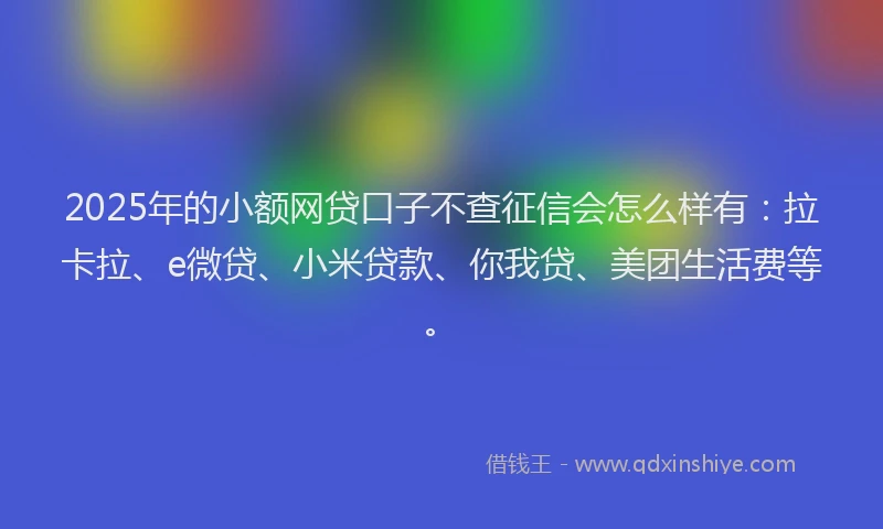 2025年的小额网贷口子不查征信会怎么样有：拉卡拉、e微贷、小米贷款、你我贷、美团生活费等。