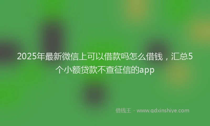 2025年最新微信上可以借款吗怎么借钱，汇总5个小额贷款不查征信的app