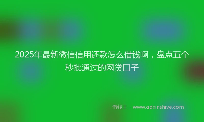 2025年最新微信信用还款怎么借钱啊，盘点五个秒批通过的网贷口子