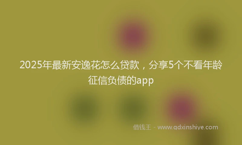 2025年最新安逸花怎么贷款，分享5个不看年龄征信负债的app