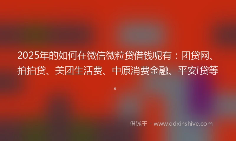 2025年的如何在微信微粒贷借钱呢有：团贷网、拍拍贷、美团生活费、中原消费金融、平安i贷等。