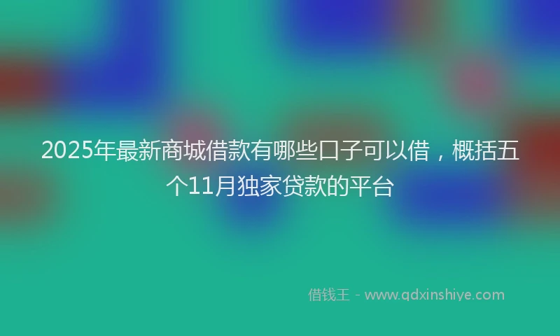 2025年最新商城借款有哪些口子可以借，概括五个11月独家贷款的平台
