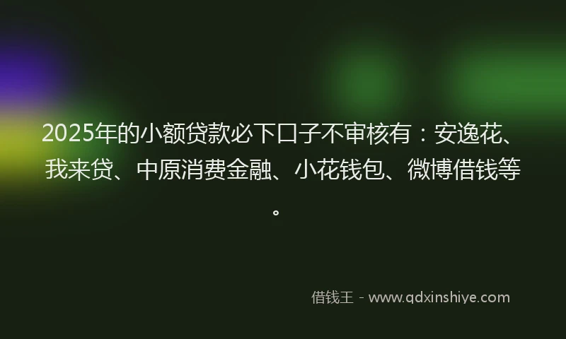 2025年的小额贷款必下口子不审核有：安逸花、我来贷、中原消费金融、小花钱包、微博借钱等。