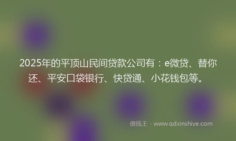 2025年的平顶山民间贷款公司有：e微贷、替你还、平安口袋银行、快贷通、小花钱包等。