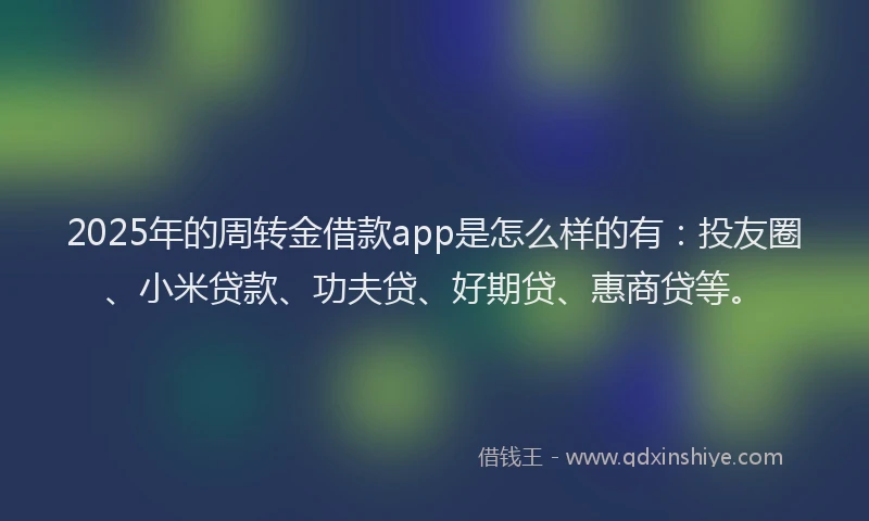 2025年的周转金借款app是怎么样的有：投友圈、小米贷款、功夫贷、好期贷、惠商贷等。