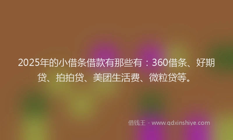2025年的小借条借款有那些有：360借条、好期贷、拍拍贷、美团生活费、微粒贷等。