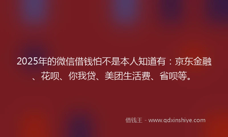 2025年的微信借钱怕不是本人知道有：京东金融、花呗、你我贷、美团生活费、省呗等。