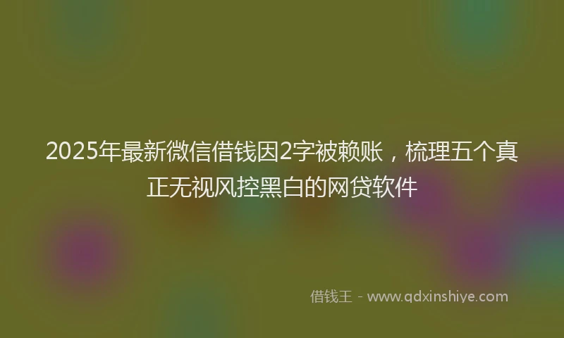 2025年最新微信借钱因2字被赖账，梳理五个真正无视风控黑白的网贷软件