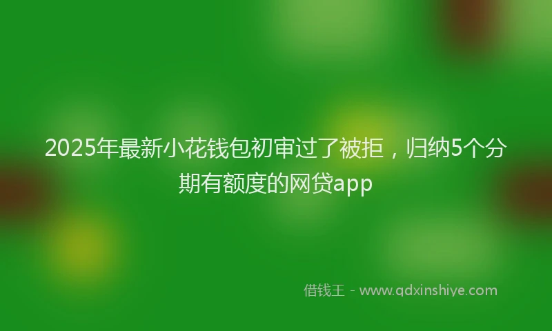 2025年最新小花钱包初审过了被拒，归纳5个分期有额度的网贷app