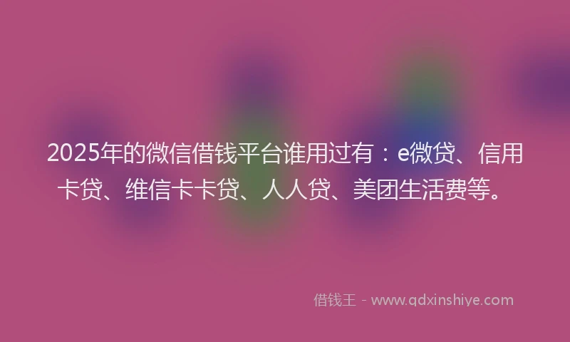 2025年的微信借钱平台谁用过有：e微贷、信用卡贷、维信卡卡贷、人人贷、美团生活费等。