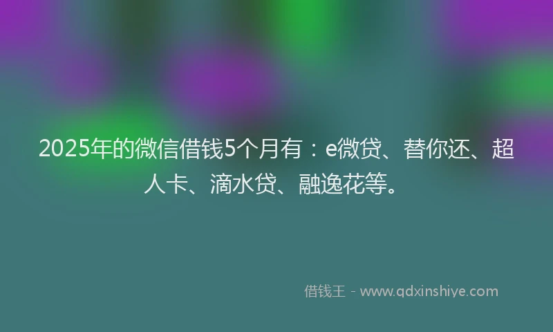 2025年的微信借钱5个月有：e微贷、替你还、超人卡、滴水贷、融逸花等。