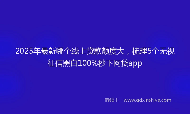 2025年最新哪个线上贷款额度大，梳理5个无视征信黑白100%秒下网贷app