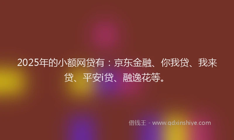 2025年的小额网贷有：京东金融、你我贷、我来贷、平安i贷、融逸花等。