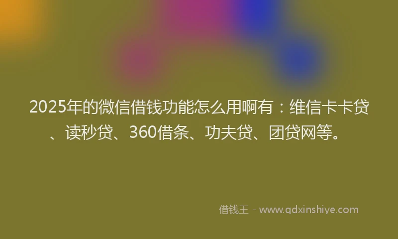 2025年的微信借钱功能怎么用啊有：维信卡卡贷、读秒贷、360借条、功夫贷、团贷网等。