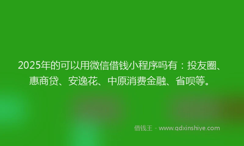 2025年的可以用微信借钱小程序吗有：投友圈、惠商贷、安逸花、中原消费金融、省呗等。