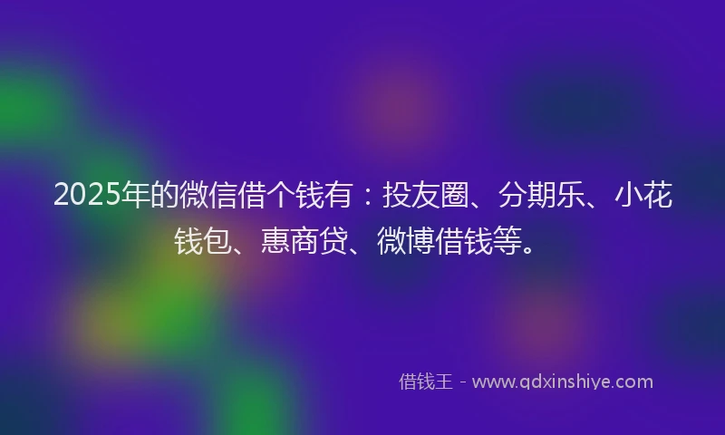 2025年的微信借个钱有：投友圈、分期乐、小花钱包、惠商贷、微博借钱等。