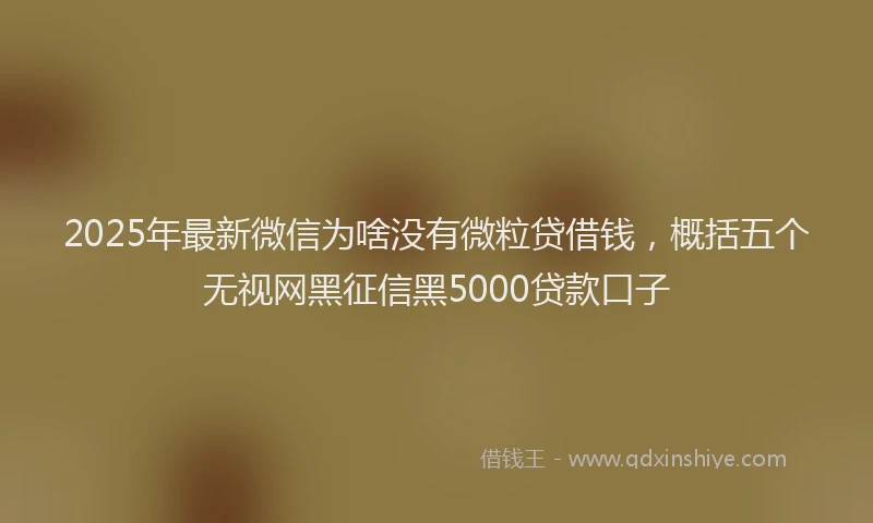 2025年最新微信为啥没有微粒贷借钱，概括五个无视网黑征信黑5000贷款口子