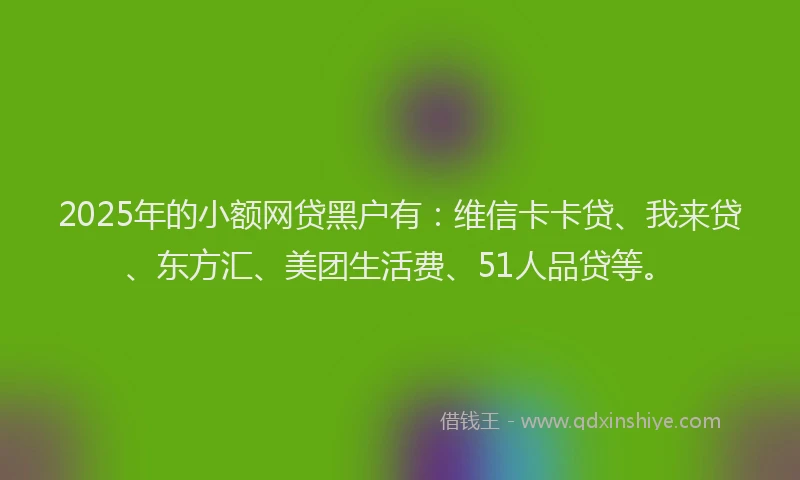 2025年的小额网贷黑户有：维信卡卡贷、我来贷、东方汇、美团生活费、51人品贷等。