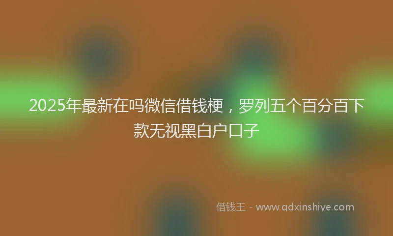 2025年最新在吗微信借钱梗，罗列五个百分百下款无视黑白户口子