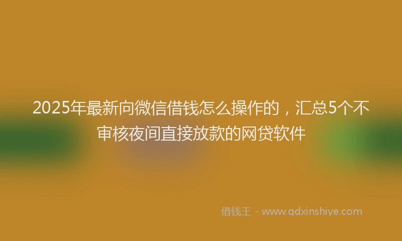 2025年最新向微信借钱怎么操作的，汇总5个不审核夜间直接放款的网贷软件