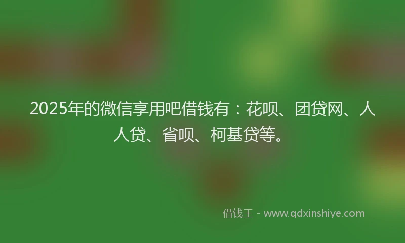 2025年的微信享用吧借钱有：花呗、团贷网、人人贷、省呗、柯基贷等。