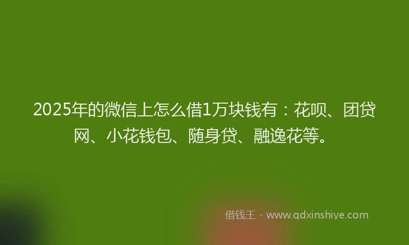 2025年的微信上怎么借1万块钱有：花呗、团贷网、小花钱包、随身贷、融逸花等。
