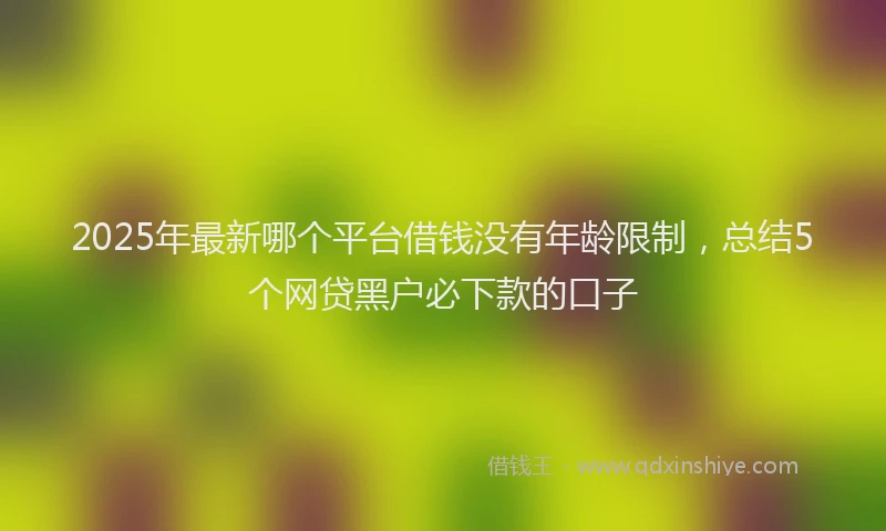 2025年最新哪个平台借钱没有年龄限制，总结5个网贷黑户必下款的口子