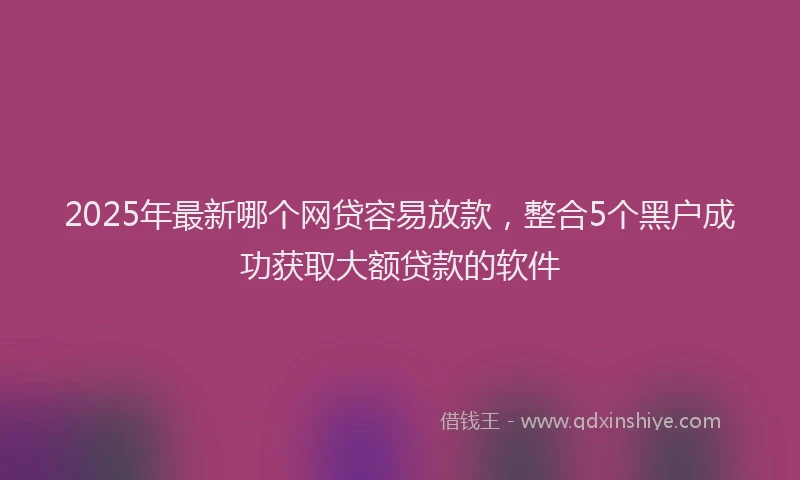 2025年最新哪个网贷容易放款，整合5个黑户成功获取大额贷款的软件