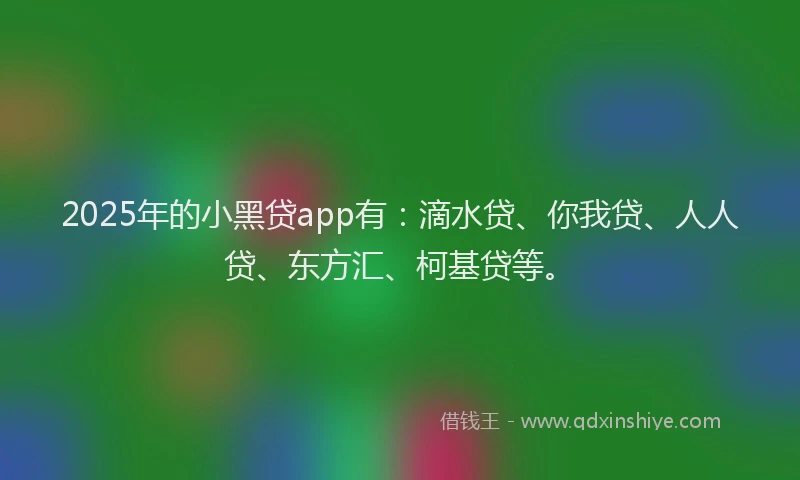 2025年的小黑贷app有：滴水贷、你我贷、人人贷、东方汇、柯基贷等。