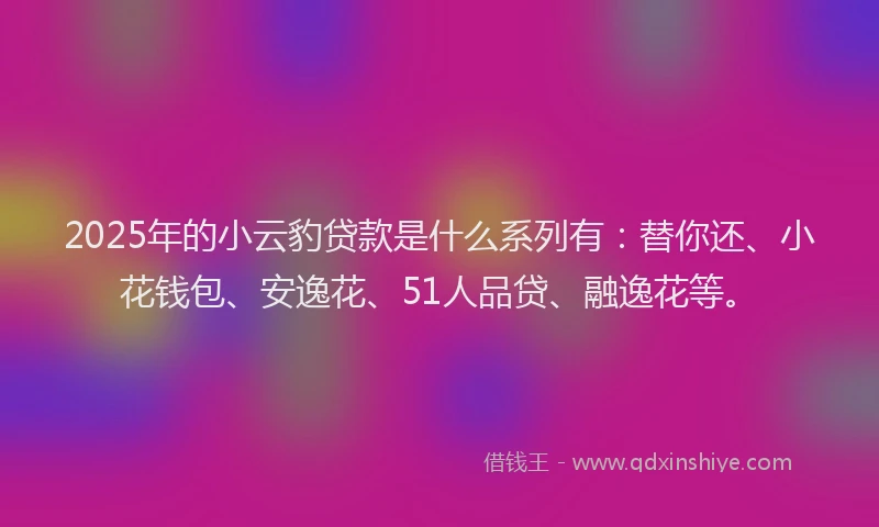 2025年的小云豹贷款是什么系列有：替你还、小花钱包、安逸花、51人品贷、融逸花等。
