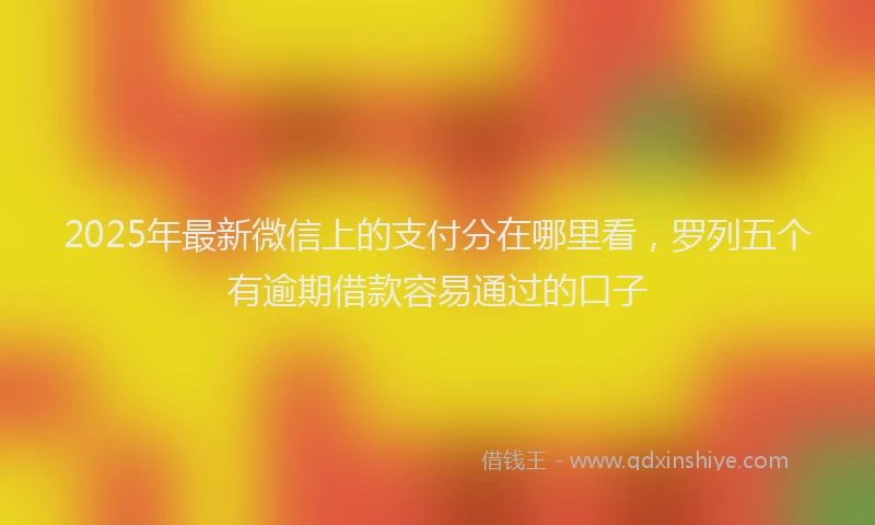 2025年最新微信上的支付分在哪里看，罗列五个有逾期借款容易通过的口子