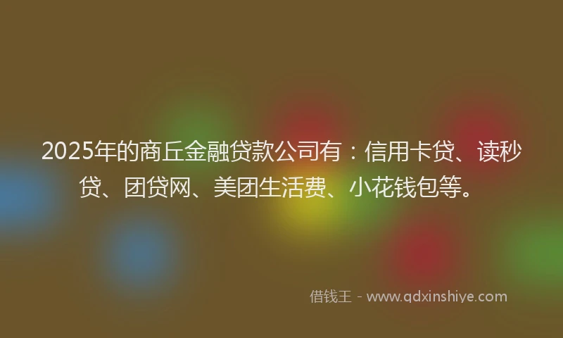 2025年的商丘金融贷款公司有：信用卡贷、读秒贷、团贷网、美团生活费、小花钱包等。