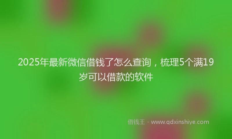 2025年最新微信借钱了怎么查询，梳理5个满19岁可以借款的软件