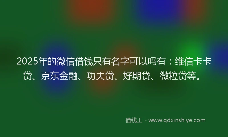 2025年的微信借钱只有名字可以吗有：维信卡卡贷、京东金融、功夫贷、好期贷、微粒贷等。