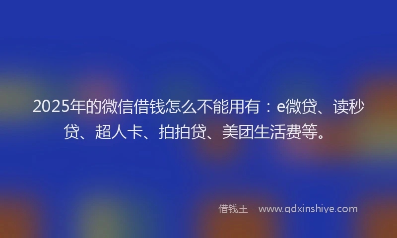 2025年的微信借钱怎么不能用有：e微贷、读秒贷、超人卡、拍拍贷、美团生活费等。