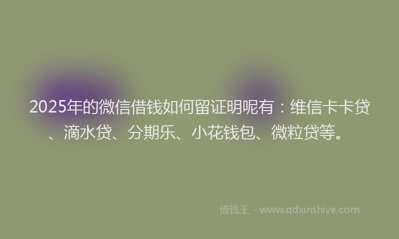 2025年的微信借钱如何留证明呢有：维信卡卡贷、滴水贷、分期乐、小花钱包、微粒贷等。