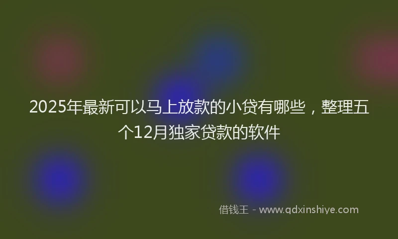 2025年最新可以马上放款的小贷有哪些，整理五个12月独家贷款的软件