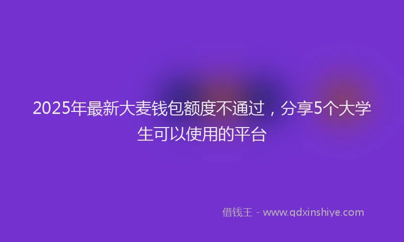 2025年最新大麦钱包额度不通过，分享5个大学生可以使用的平台