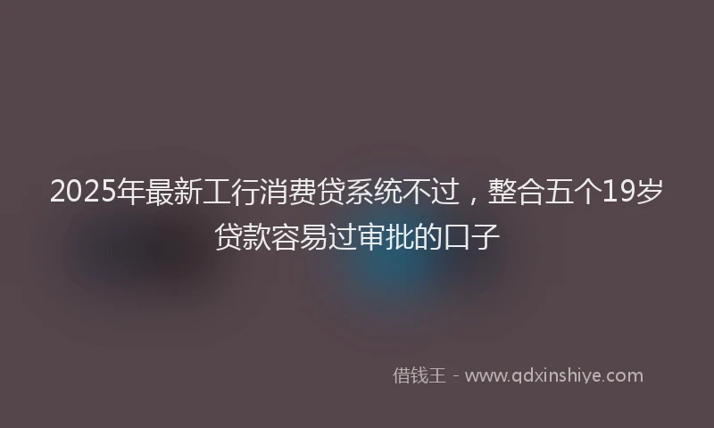 2025年最新工行消费贷系统不过，整合五个19岁贷款容易过审批的口子