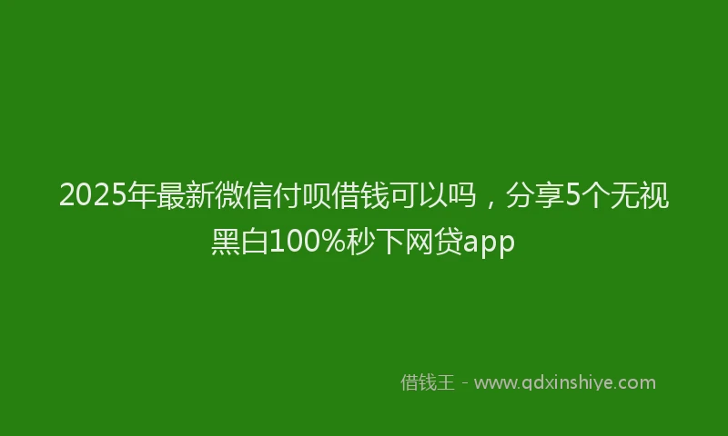 2025年最新微信付呗借钱可以吗，分享5个无视黑白100%秒下网贷app