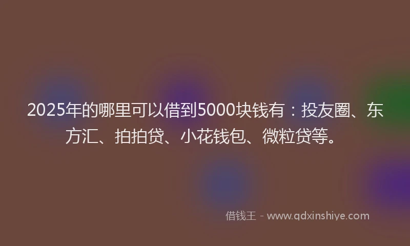 2025年的哪里可以借到5000块钱有：投友圈、东方汇、拍拍贷、小花钱包、微粒贷等。
