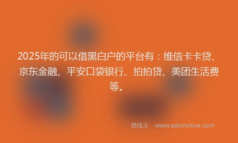 2025年的可以借黑白户的平台有：维信卡卡贷、京东金融、平安口袋银行、拍拍贷、美团生活费等。