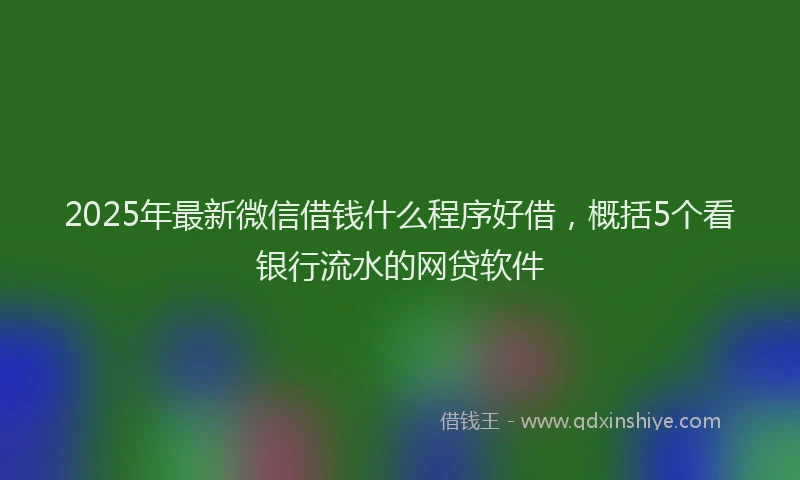 2025年最新微信借钱什么程序好借，概括5个看银行流水的网贷软件