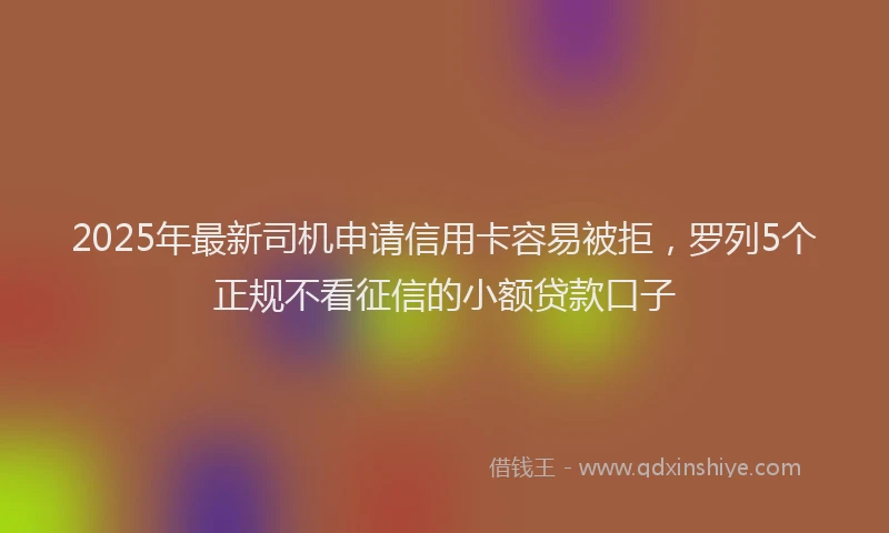 2025年最新司机申请信用卡容易被拒，罗列5个正规不看征信的小额贷款口子