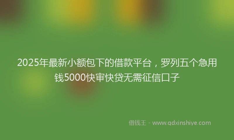 2025年最新小额包下的借款平台，罗列五个急用钱5000快审快贷无需征信口子